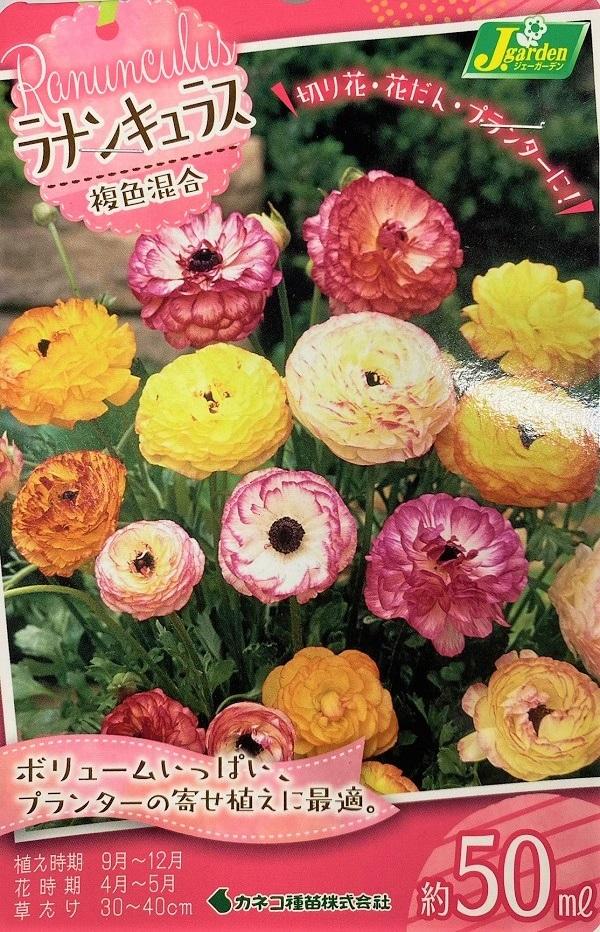 園芸ネット球根 ラナンキュラス