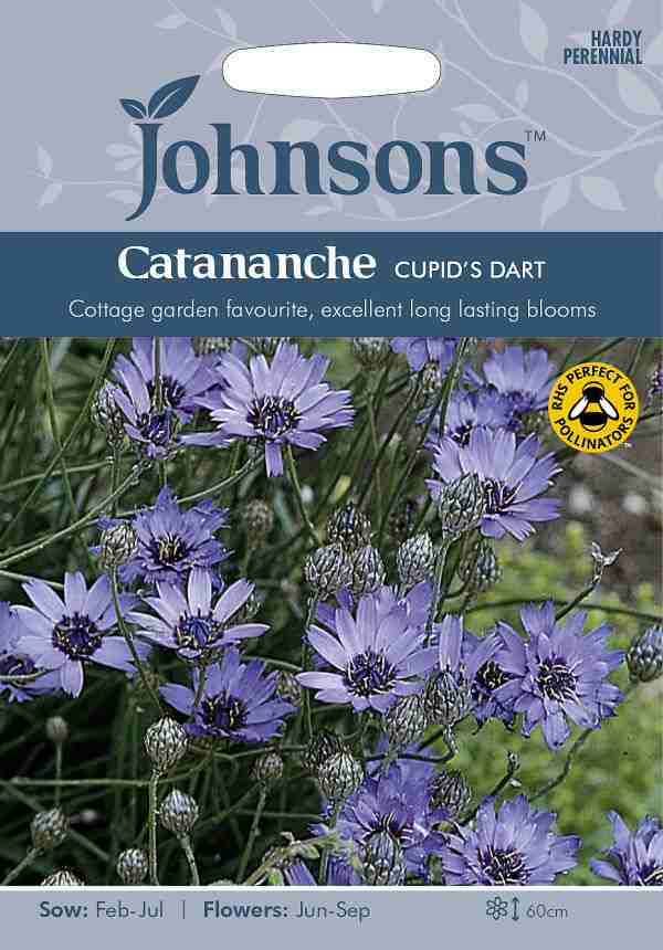 輸入種子】Johnsons Seeds Catananche caerulea Cupids Dart カタナンケ・カエルーレラ キューピッド・ダート  ジョンソンズシードの通販はau PAY マーケット - Gardener's Shop Ivy