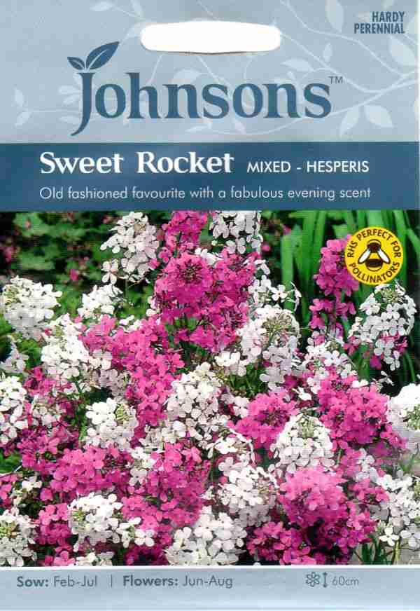 種子】Johnsons Seeds Sweet Rocket Mixed Hesperis  スイート・ロケット（ハナダイコン）・ミックス・ヘスペリス ジョンソンズシードの通販はau PAY マーケット Gardener's Shop  Ivy au PAY マーケット－通販サイト