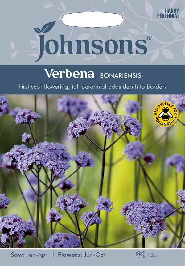 輸入種子 Johnsons Seeds Verbena Bonariensis バーベナ ボナリエンシス ジョンソンズシードの通販はau Pay マーケット Gardener S Shop Ivy