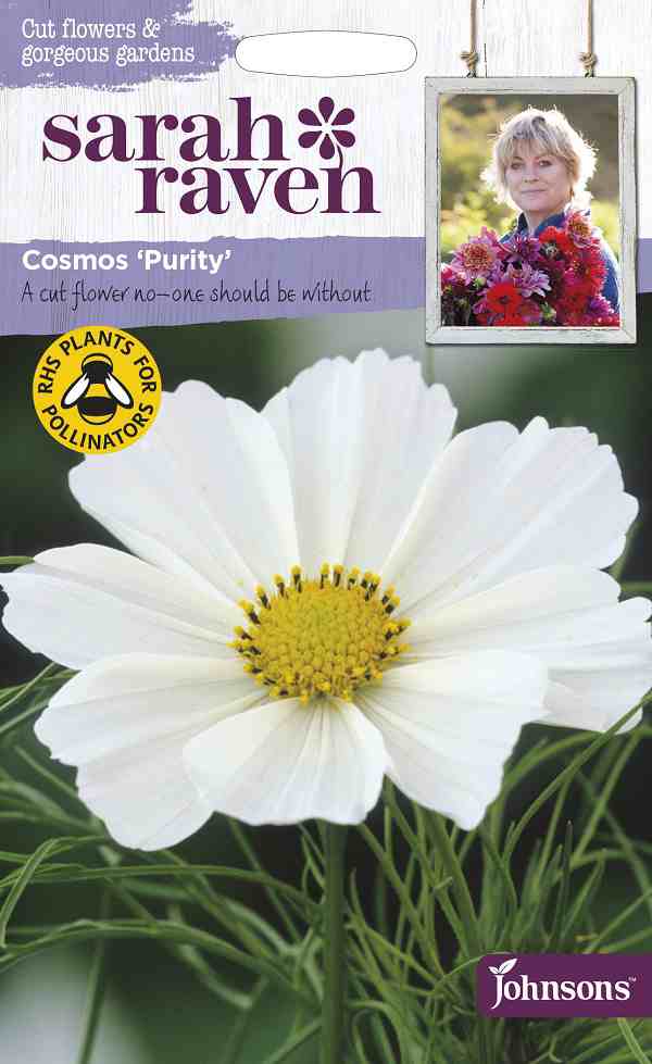 種子】Johnsons Seeds Sarah Raven Cut flowers  gorgeous gardens Cosmos  Purityコスモス・ピュリティ ジョンソンズシードの通販はau PAY マーケット Gardener's Shop Ivy au PAY  マーケット－通販サイト
