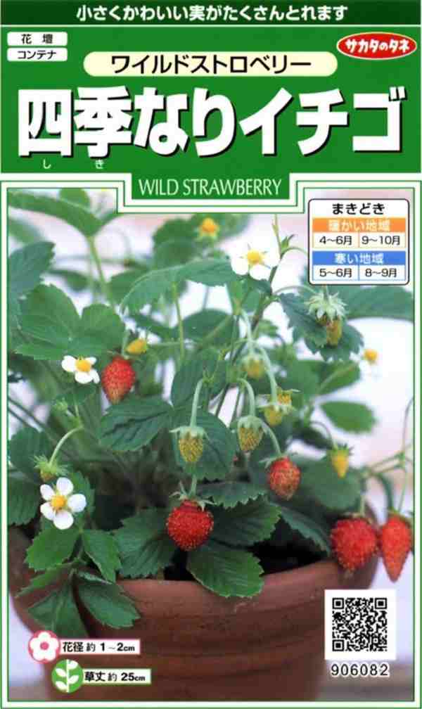 種子 ワイルドストロベリー 四季なりイチゴ サカタのタネ の通販はau Pay マーケット Gardener S Shop Ivy