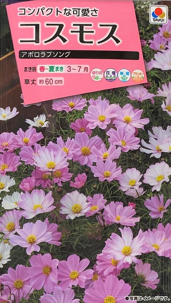 種子 コスモス アポロラブソング タキイ種苗のタネの通販はau Pay マーケット Gardener S Shop Ivy