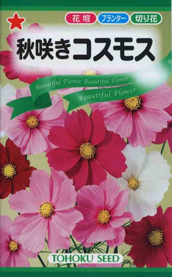 トーホク コスモス種子 １ｐ 通販 Au Pay マーケット