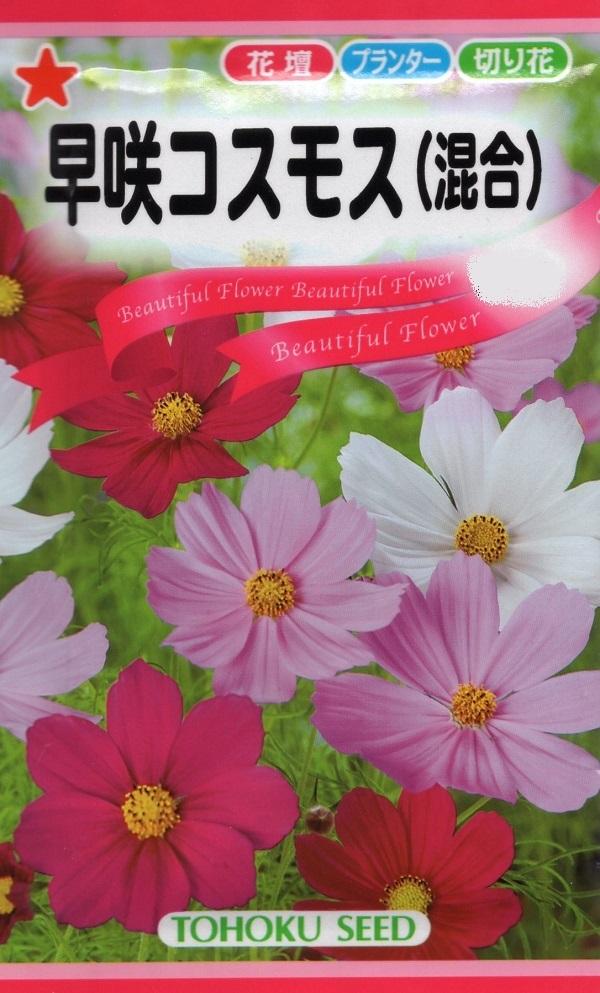 種子 早咲コスモス トーホクのタネの通販はau Pay マーケット Gardener S Shop Ivy