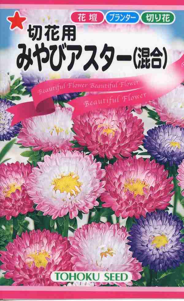 種子 切花用みやびアスター 混合 トーホクのタネの通販はau Pay マーケット Gardener S Shop Ivy