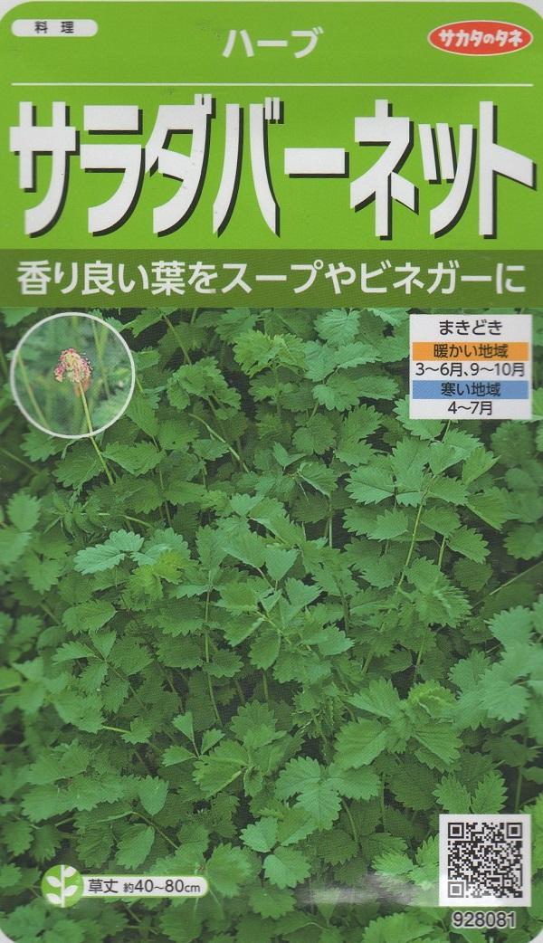 種子 サラダバーネット サカタのタネの通販はau Pay マーケット Gardener S Shop Ivy