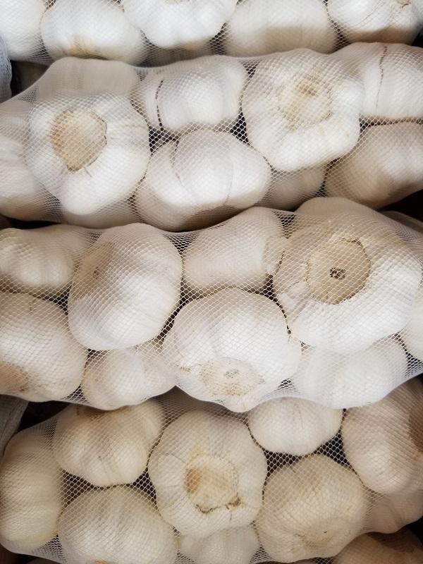 野菜球根 山東にんにく 1kg入の通販はau Pay マーケット Gardener S Shop Ivy