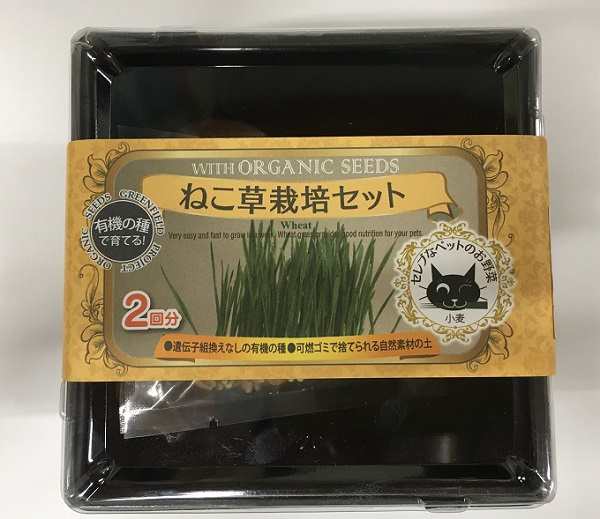 有機種子 ねこ草栽培セット 2回分 グリーンフィールドプロジェクトのタネの通販はau Pay マーケット Gardener S Shop Ivy