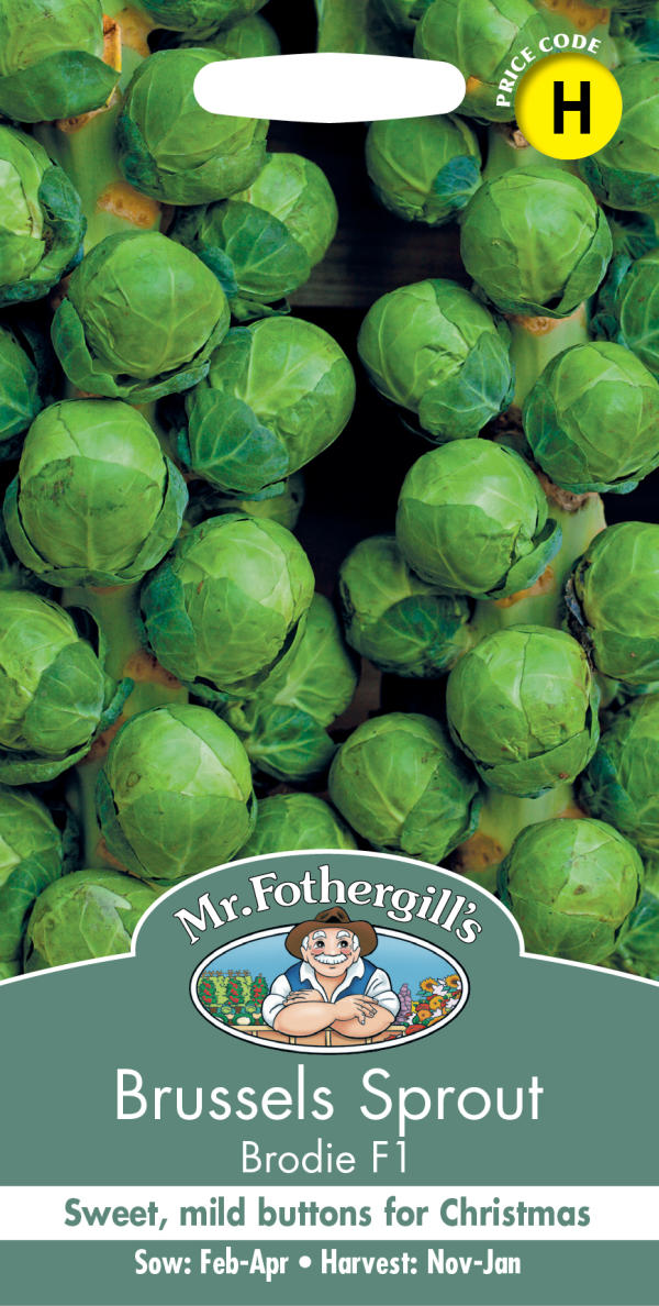 【種子】Mr.Fothergills Seeds Brussels Sprout Brodie ブリュッセルズ・スプラウト （芽キャベツ） ブロディ ミスター・フォザーギルズシード