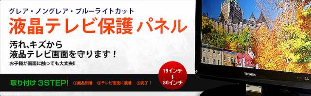 液晶テレビ 保護 パネル 22型 22インチ相当 ノングレア調 板厚3mm