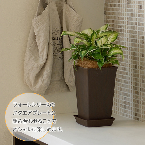 〔24個セット〕 角型 植木鉢/プランター 〔10号 ダークブラウン〕 約幅24cm 日本製 深型 リッチェル フォーレ スクエアポット(代引不可) 24個セット 角型 植木鉢⁄プランター 10号 ホワイト 約幅24cm