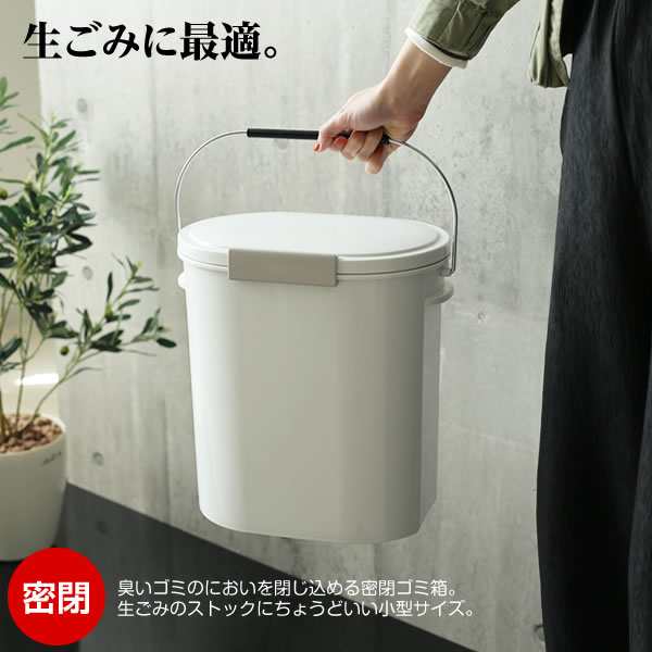 ポリプロピレンフタが選べるダストボックス・大（30L袋用