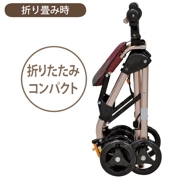 テイコブナノンDX CPS02ワインレッド 付属品有り テイコブナノンDX CPS02ワインレッド 付属品有り