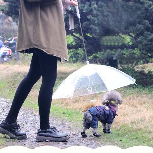 送料無料 ペット用 傘 小型犬 わんちゃんお散歩用傘 雨の日 透明 犬 雨具 ビニール 大喜び 無地 シンプル 可愛い オシャレ 猫の通販はau Pay マーケット ビッグアローズ