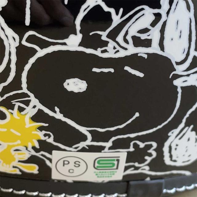 AXS SNOOPY SNJ-118 スヌーピーカーニバル ブラック シールド付き