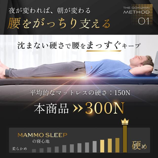 GOKUMIN ストレートマットレス 超高反発 メッシュカバー 超高密度 腰痛対策 硬め 5cm厚 選べる寝心地 取っ手付きで持ち運び便利 コンパクト へたりにくい 竹炭配合 抗菌防臭調湿 低ホルムアルデヒドセミダブル_5