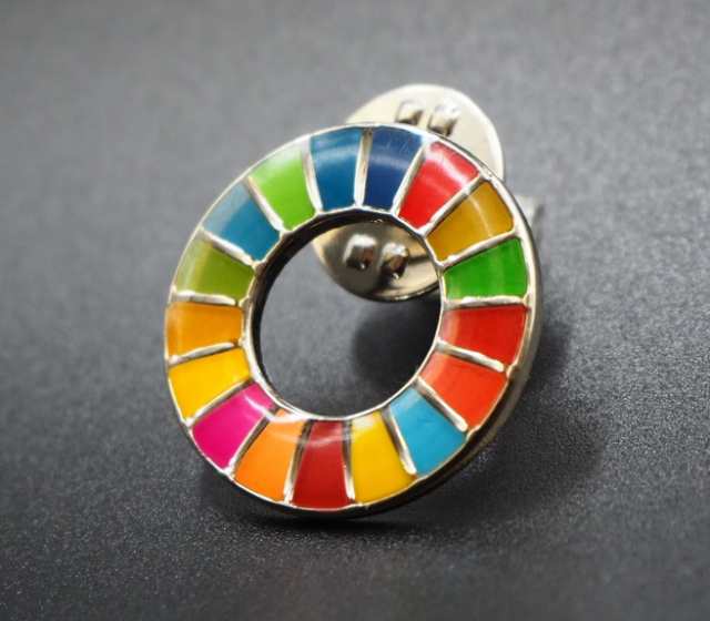 SDGs 国連ガイドライン対応 ラペル ピン ピンバッジ バッチ バッヂ 大量購入OK！日本未発売!! 2.0ｍｍ さりげないミニサイズ!! 1個の通販はau  PAY マーケット MONO BASE au PAY マーケット－通販サイト