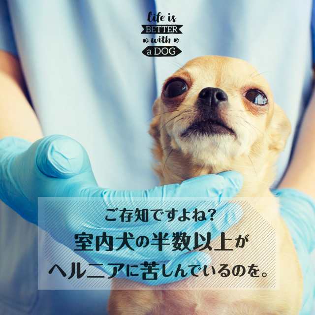 ドッグステップ 耐荷重30kg 犬 ペット ステップ 軽量 踏み台 階段 犬の階段 幅広 Pvc レザー 室内犬 小型犬 中型犬 大型犬 高齢犬 シニアの通販はau Pay マーケット T Brand Au Pay マーケット店