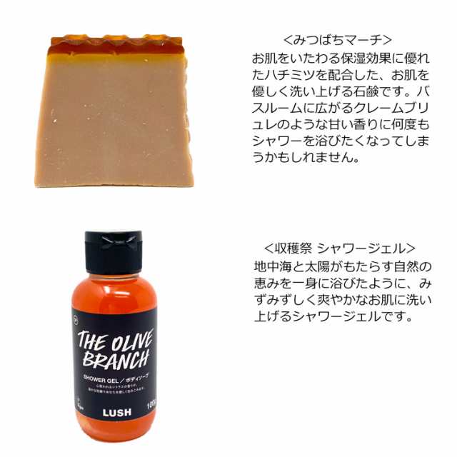 LUSH ボディソープ&ボディローション - ボディソープ