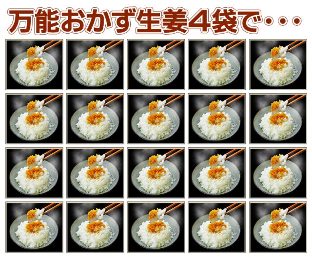Dm便で送料無料 生姜 高知県産生姜使用 食べる生姜 おかず生姜 そ 万能おかず生姜 おかずしょうが 4袋セットの通販はau Pay マーケット 珍味堂ひろめ店