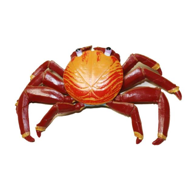イワガニ イワガニ カニ 魚模型 魚フィギュア Faf C12 寸法 約18x12x3cmの通販はau Pay マーケット ディスプレイ アートジャパン