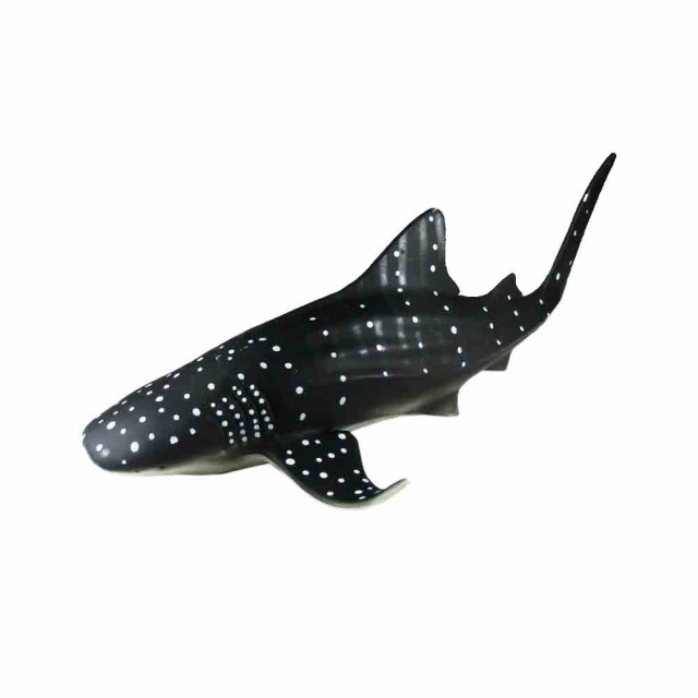 サメ ジンベイザメ 魚模型 魚フィギュア タイプd 約25x13x8cm 長さ25cm ヒレの幅13cm 高さ8cm の通販はau Pay マーケット ディスプレイ アートジャパン