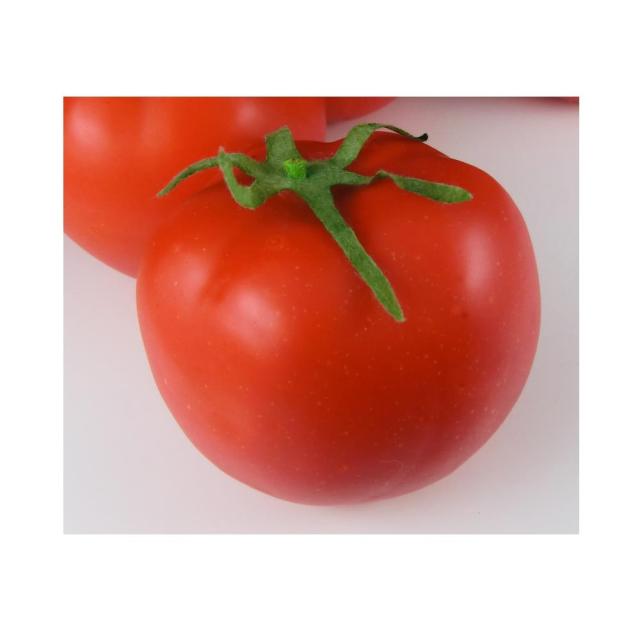 Gucra グクラ トマト 模型 とまと 真っ赤な完熟トマト 8個パック 食品サンプルの通販はau Pay マーケット ディスプレイ アートジャパン