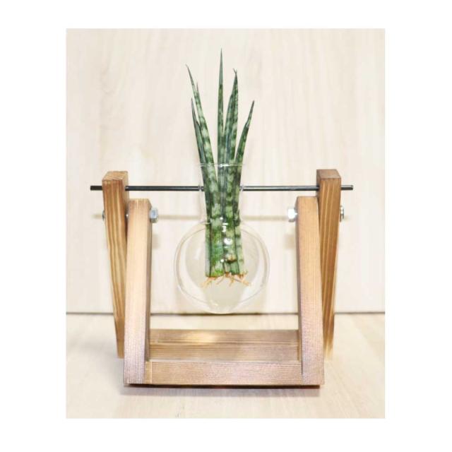 木製花瓶スタンド 水耕栽培花瓶 卓上花瓶 植物栽培ガラス 水栽培容器 ハイドロカルチャー フラスコ1個 Fbaa 1の通販はau Pay マーケット ディスプレイ アートジャパン