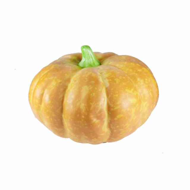 かぼちゃ 南瓜 野菜模型 食品サンプル オレンジ 製品寸法 約23ｘ23ｘ15cm 重量 約0gの通販はau Pay マーケット ディスプレイ アートジャパン