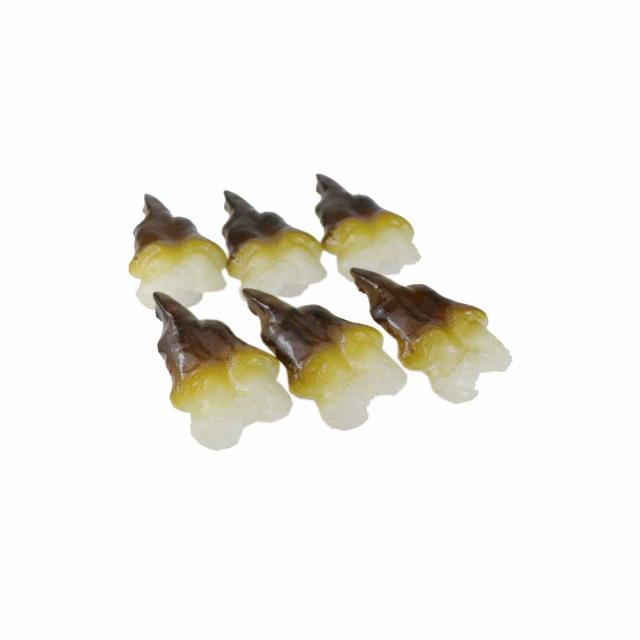 にぎり寿司 鳥貝 トリガイ すし 模型 6個パック 食品サンプル 食品模型の通販はau Pay マーケット ディスプレイ アートジャパン