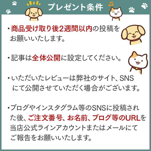 猫 犬 ペット 自動 給餌器 自動給餌器 自動餌やり機 タイマー 猫用 