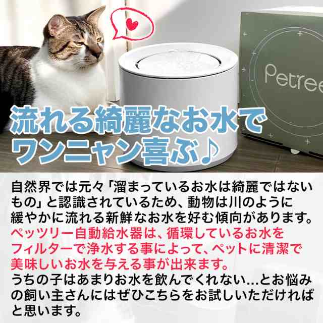 猫用自動給水器 コードレス (フィルタースポンジ) 10個入り - 食器・餌