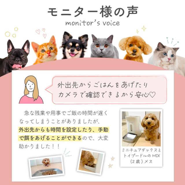 ごはんもりもり君PLUS 猫 犬 自動給餌器 カメラ付き スマホ 自動エサやり機 自動餌やり機 自動餌やり器 自動 給餌器 給餌機 カメラ 見守りカメラ ペット 兎 餌 エサ えさ ペットフード 4.5L 留守番 見守り 洗える ねこ いぬ イヌ ネコ うさぎ_15