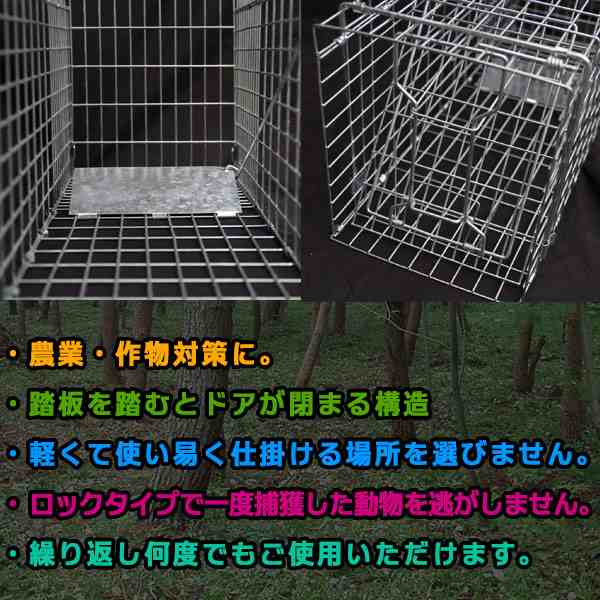 捕獲器 動物捕獲器 トラップゲージ 65cm 23cm 28cm 捕獲機 捕獲器 保護 踏板 踏み板 猫 ネコ アニマル 動物 タヌキの通販はau Pay マーケット 防犯対策ネット Au Pay マーケット店