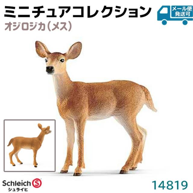 フィギュア オジロジカ メス 14819 Schleich シュライヒ 鹿 動物