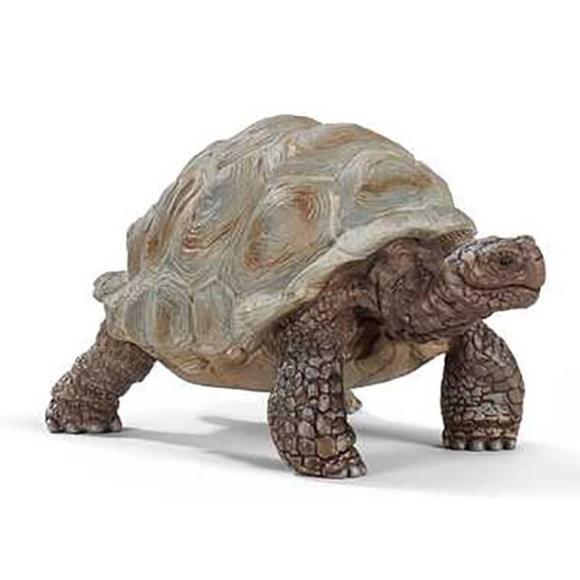 フィギュア ゾウガメ 14824 Schleich シュライヒ 亀 動物フィギュア