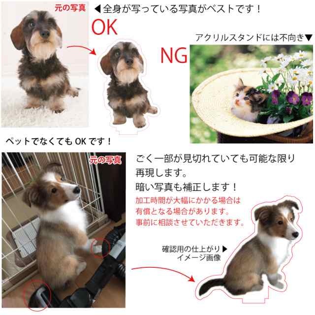 写真で作る 犬 猫 オリジナル ＜ ダイカット アクリルスタンド