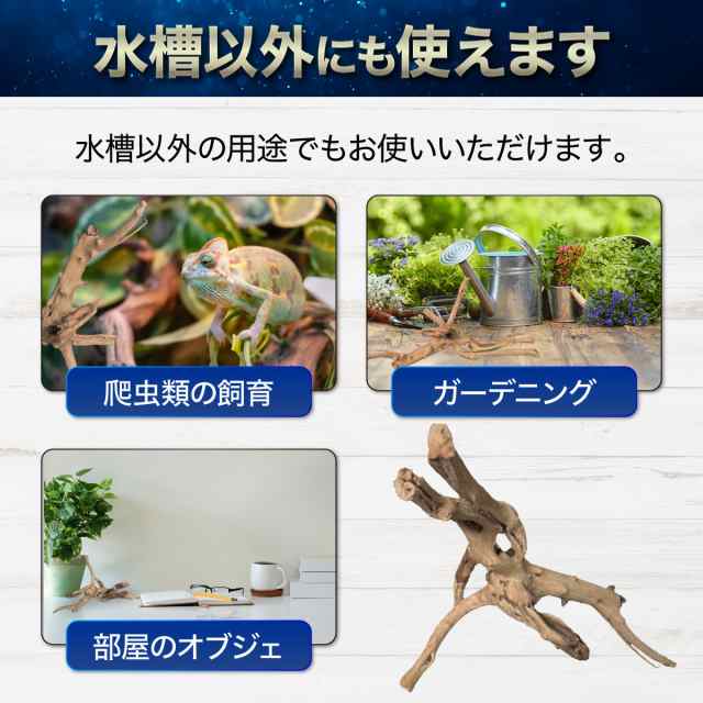 1個】Sサイズ 形状お任せタイプ アクアリウム 流木 煮沸済 流木