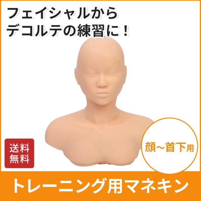 マッサージ練習用マネキン エクステ施術トレーニングマネキンヘッド マッサージ練習 フェイス台 デコルテ土台 メイク練習台