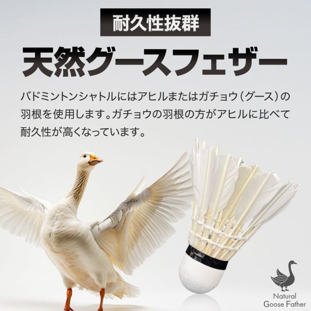 置き配配送】 バドミントン シャトル ーVer2ー ガチョウの羽根 12個 