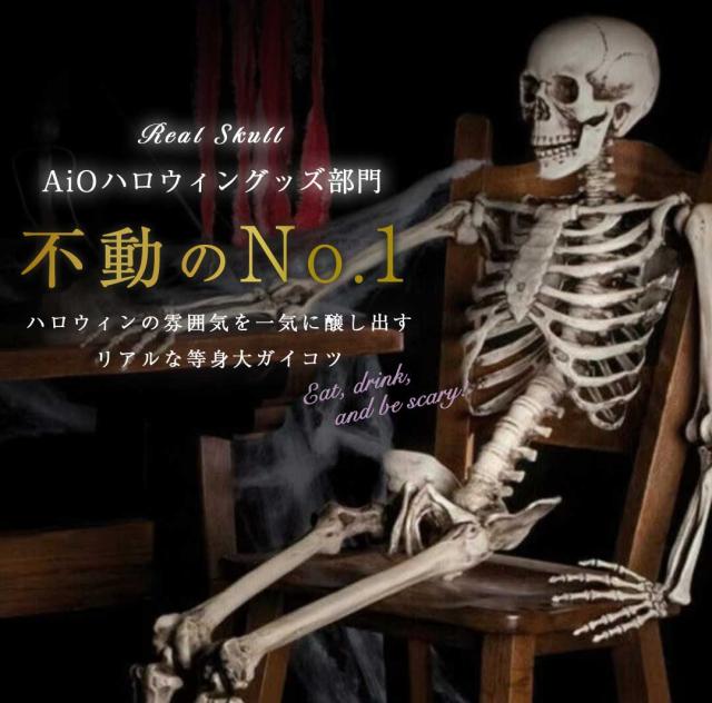 ドイツ製◾️等身大 骨格標本 人体模型 ガイコツ 骸骨 ドクロ ドイツ製◾️等身大 骨格標本 人体模型 ガイコツ 骸骨 ドクロ