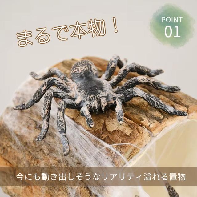 【オーダー無料】蜘蛛 スパイダー タランチュラ 看板 置物 雑貨 ライトBOX オーダー無料】蜘蛛 スパイダー タランチュラ 看板 置物 雑貨 ライト