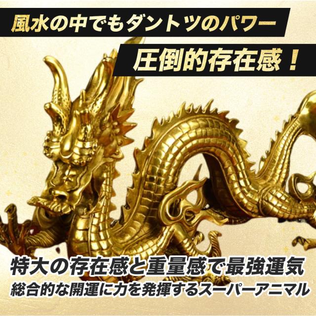 置物 風水 皇帝龍 五本爪 ーVer2ー 龍 竜 真鍮 ブロンズゴールド 龍の