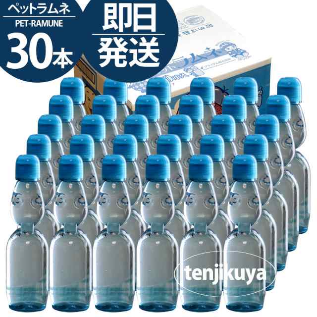 ラムネ ラムネ飲料 業務用 飲料 ラムネジュース 炭酸水 ペット