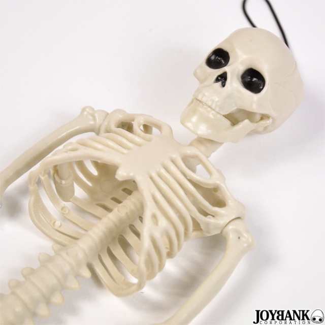 骸骨 フィギュア 36cm おもちゃ ガイコツ どくろ インテリア ホラー 