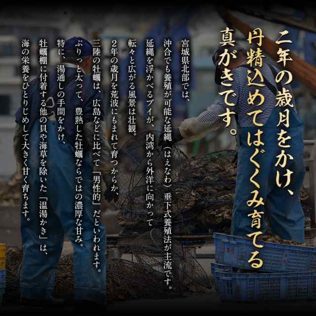 殻付きカキ 殻付牡蠣 カキ 生鮮 加熱用 宮城県産 三陸産 10Ｋ入り 冷蔵便 父の日 母の日 お中元の通販はau PAY マーケット -  おいしい通販ショップ au PAY マーケット店