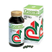 【クロレラ工業】【送料込み】グロスミン 2000錠 【正規品販売店】