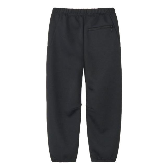 2025年秋新作 ノースフェイス パンツ メンズ テックエアースウェット