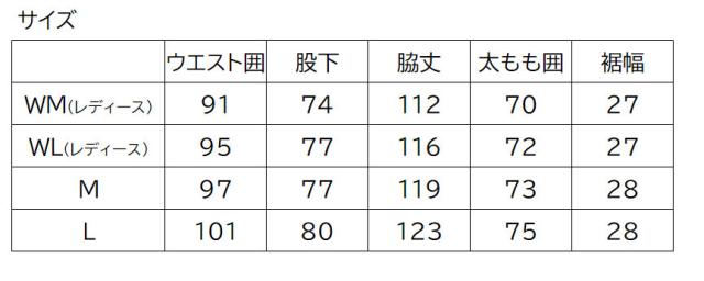 ザ・ノース・フェイス レイバックライドビブ ユニセックス スノーウェア ビブパンツ NS62513-MG_2